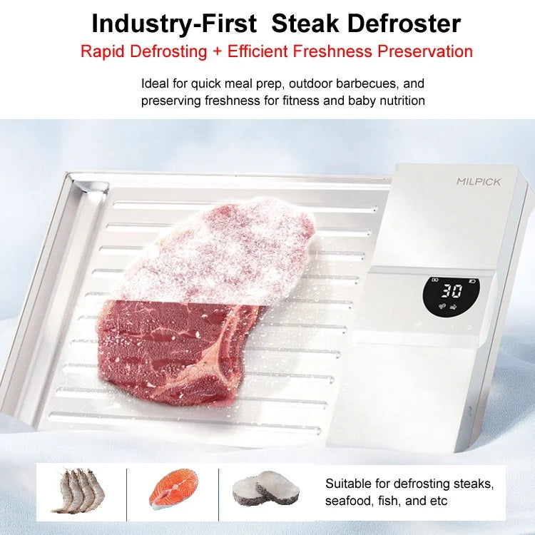 Kitchen Smart Tools Aluminum Electric Defroster Tray for Rapid Meat Pork Seafood Frozen Food Thawing for Steak and Poultry